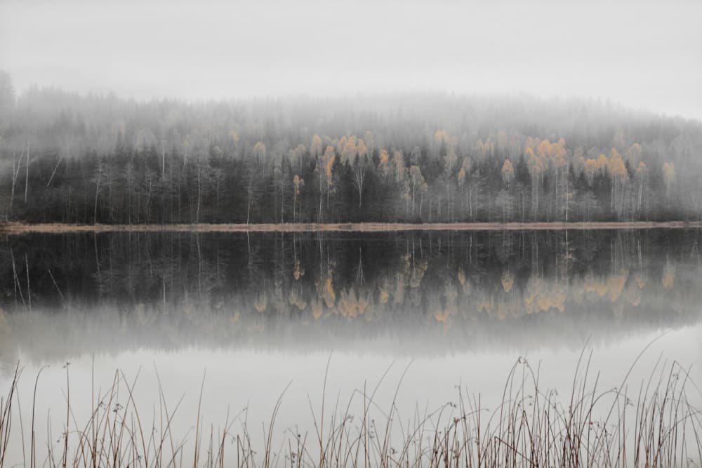 Misty Autumn Lake by Christina Sillen — canvas wall art