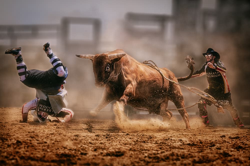 Rodeo Bull Action by Ben.C.L — canvas wall art