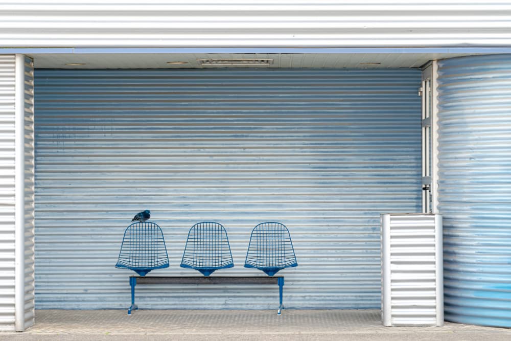 Pigeon On Blue Bench by Stephan Rückert — canvas wall art