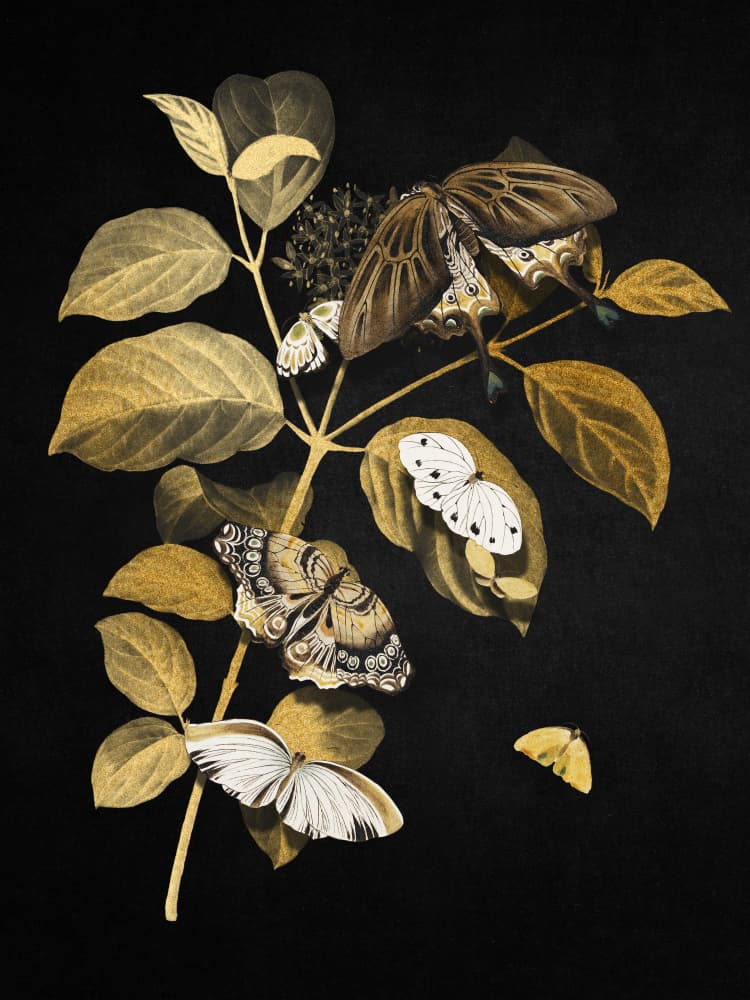 Elegant Gold Butterflies by Marja van den Hurk — canvas wall art