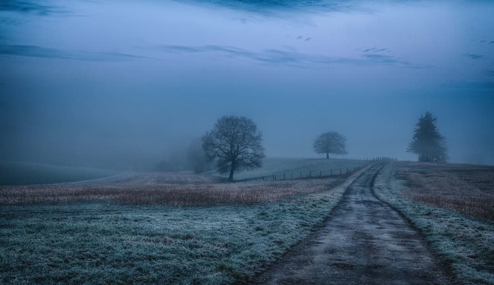 Foggy Winter Path by Guy Krier — canvas wall art