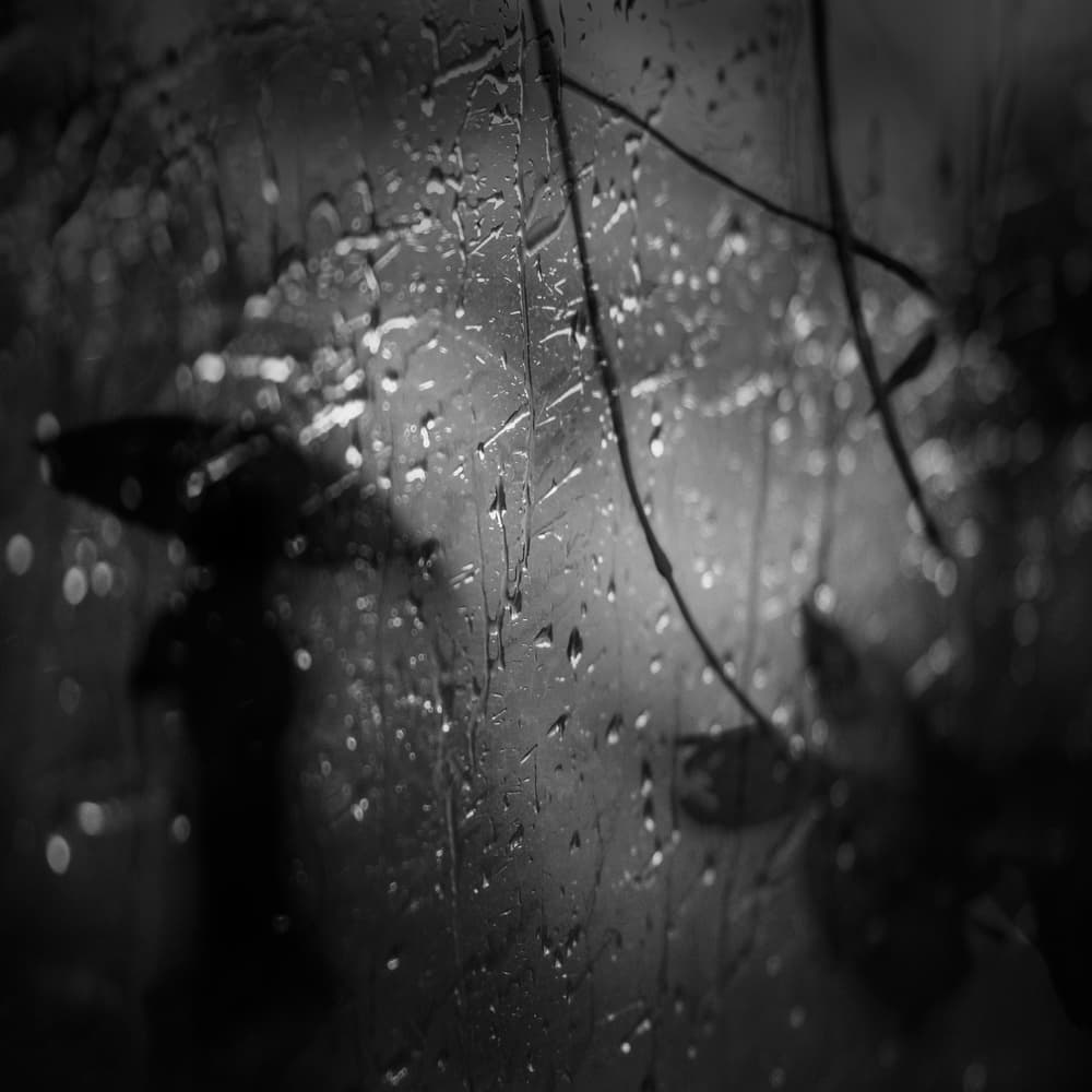 Shadows On Wet Glass by Teruhiko Tsuchida — canvas wall art