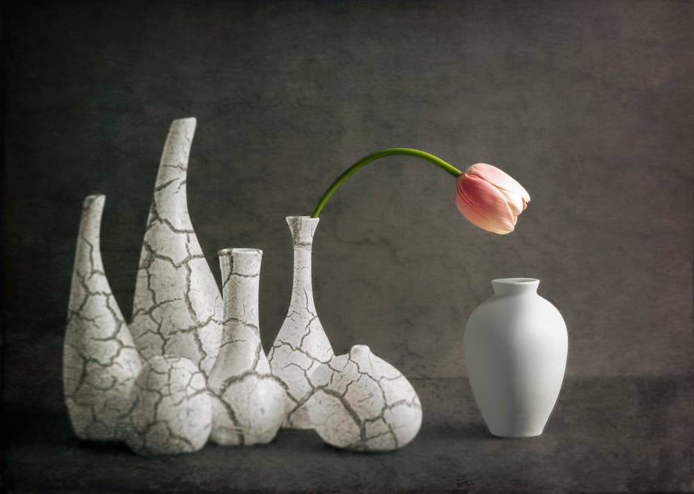 Pink Tulip Cracked Vases by John-Mei Zhong — canvas wall art