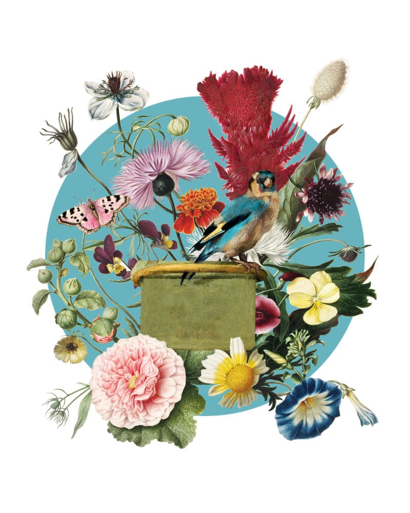Colorful Garden Collage by Marja van den Hurk — canvas wall art
