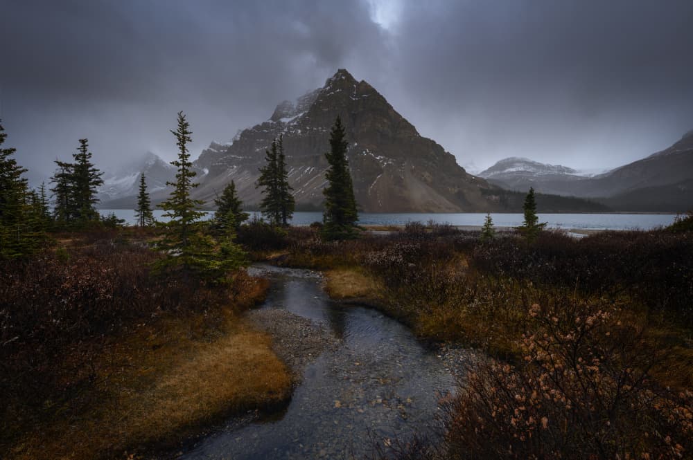 Moody Mountain Stream by David Martin Castan — canvas wall art