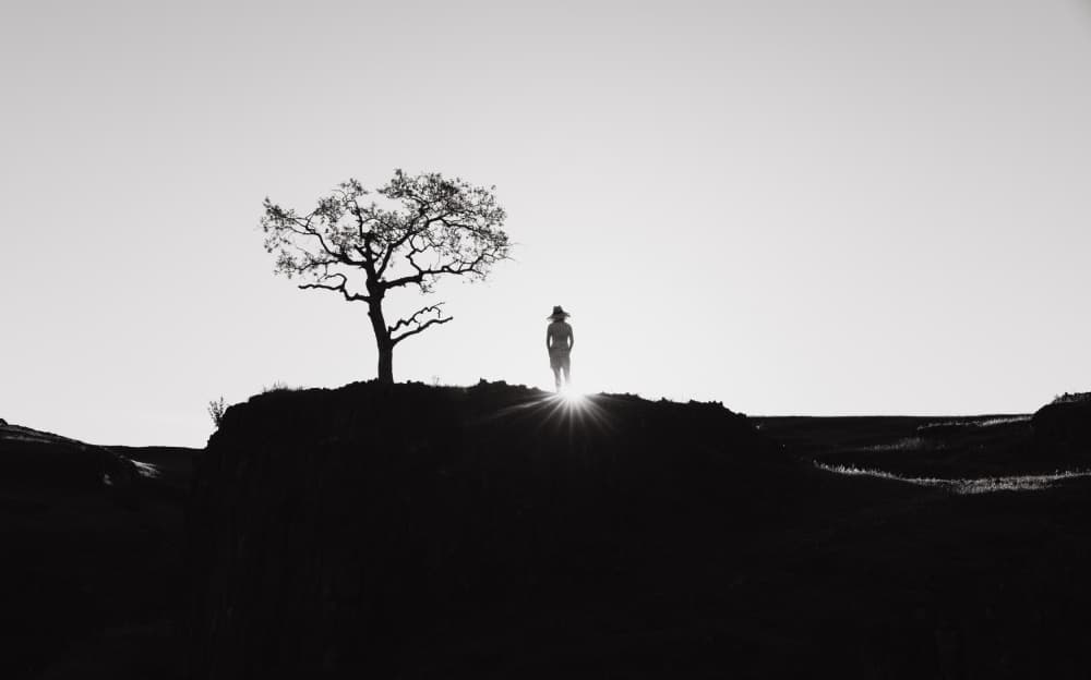 Horizon Sunburst Silhouette by Dianne Mao — canvas wall art