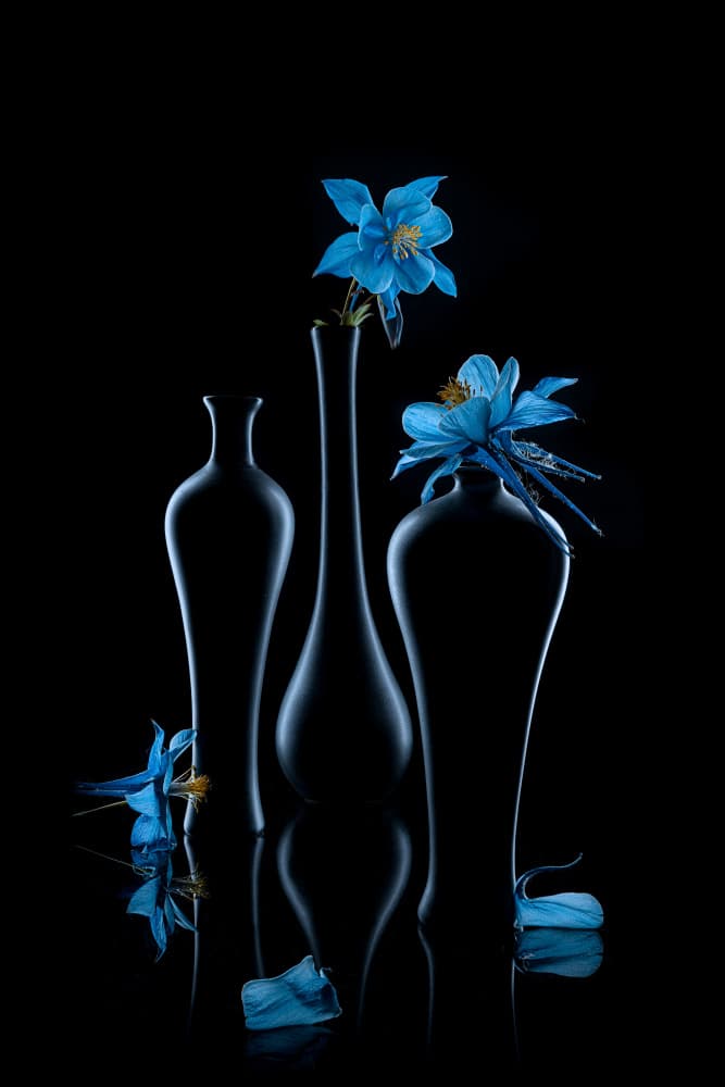 Luminous Blue Flowers by Lydia Jacobs — canvas wall art
