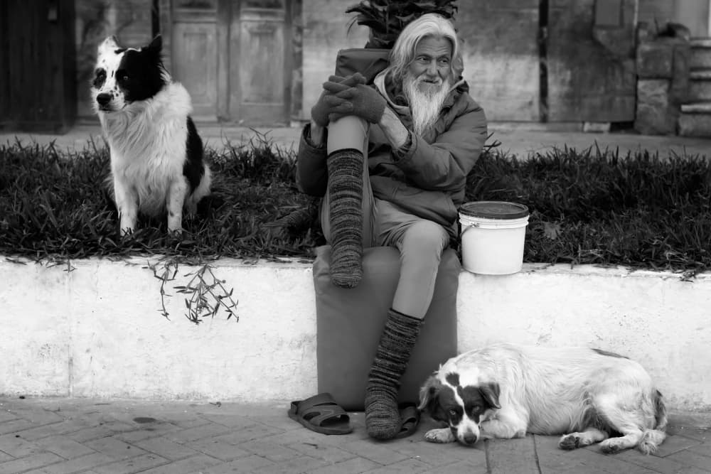 Old Man and Dogs by Cesar Tejada — canvas wall art