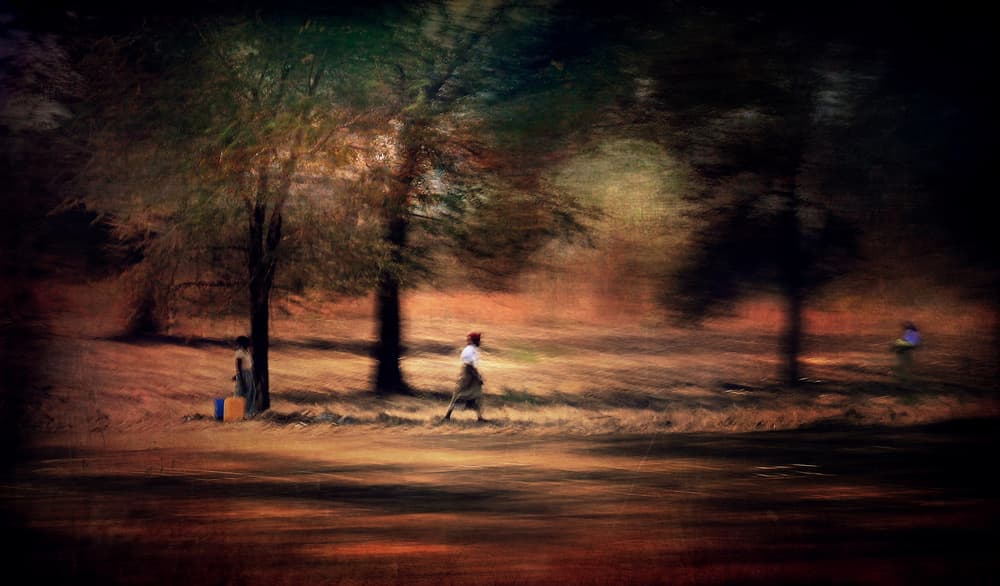 Dreamy Autumn Walk by Antonio Grambone — canvas wall art