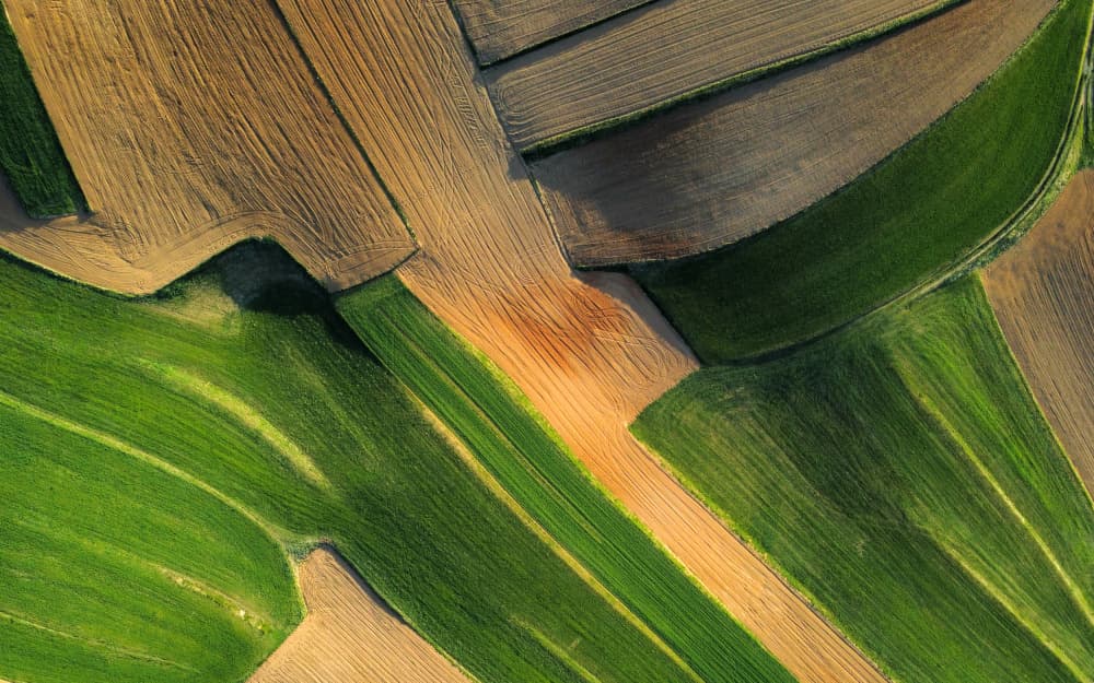 Farmland Patchwork by Primož Kožuh — canvas wall art
