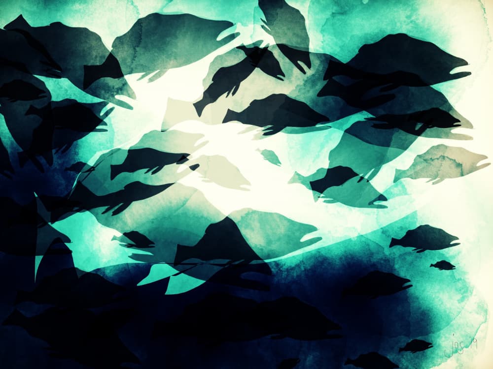 Deep Blue Fish Flow by Jocelyn Wortley — canvas wall art