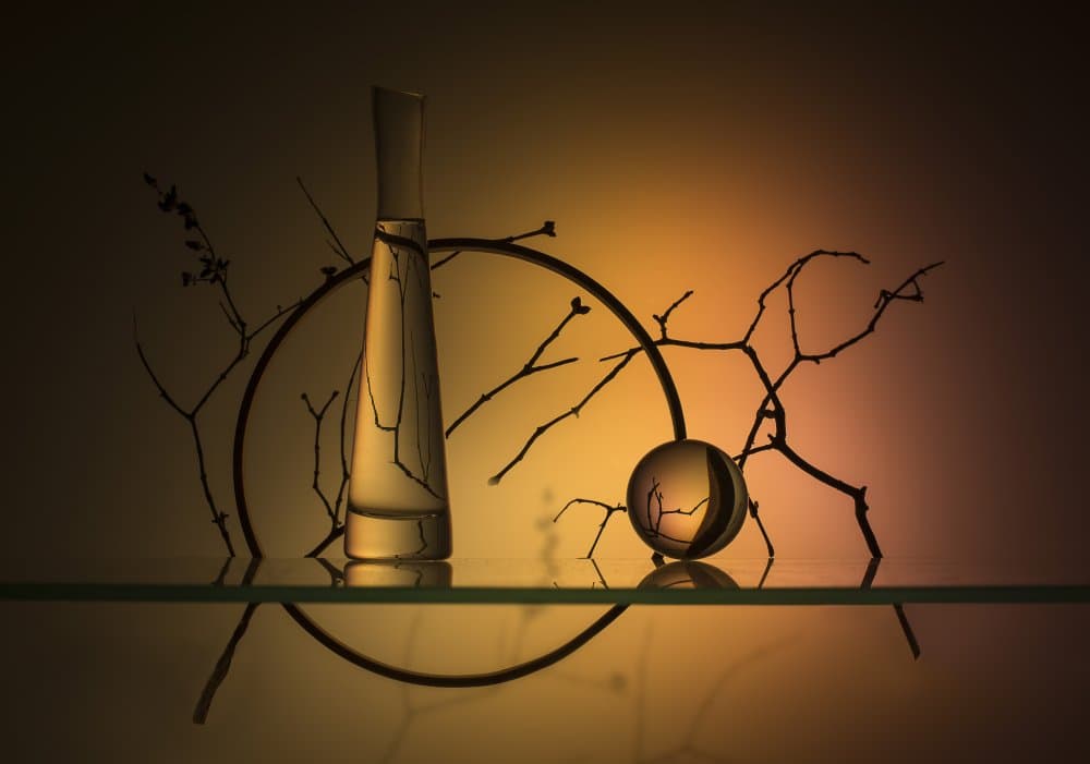 Elegant Glass Still Life by Evgeniy Popov — canvas wall art