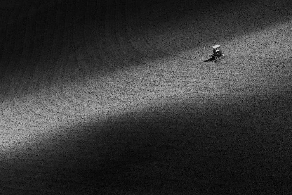Farming Light and Shadow by Filippo Manini — canvas wall art