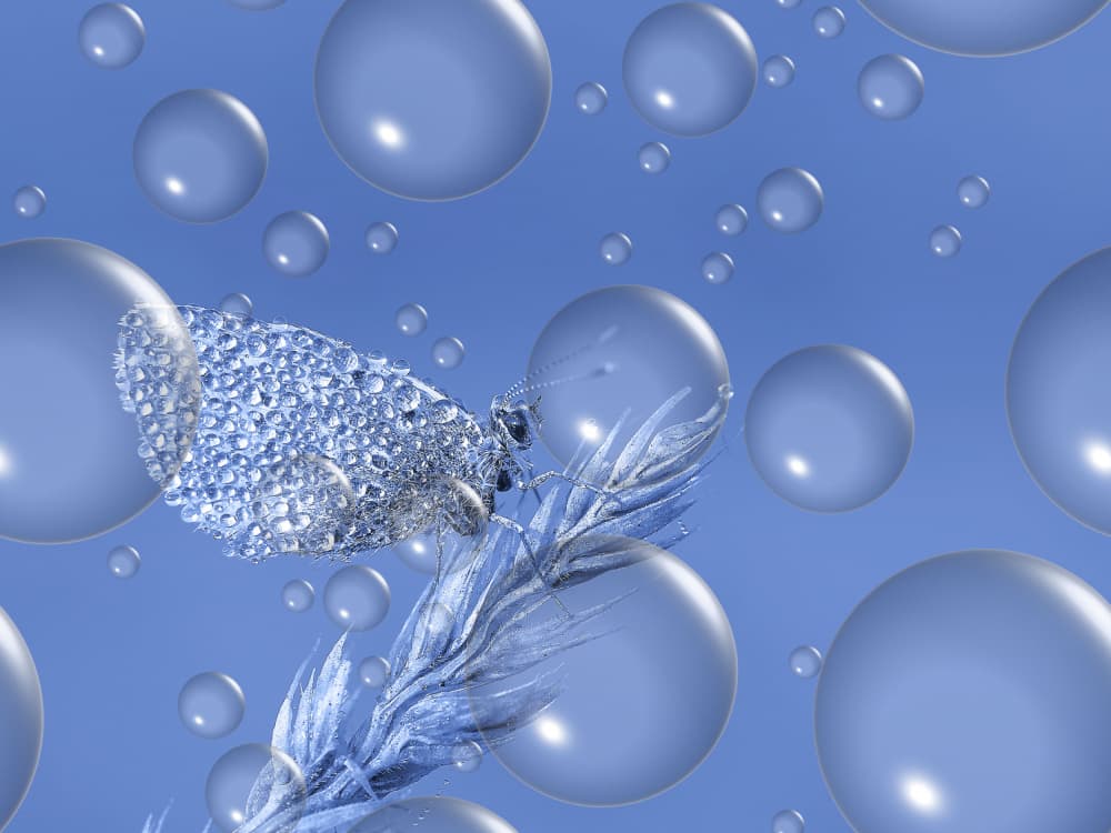 Crystal Butterfly Blue Bubbles by Thierry Dufour — canvas wall art