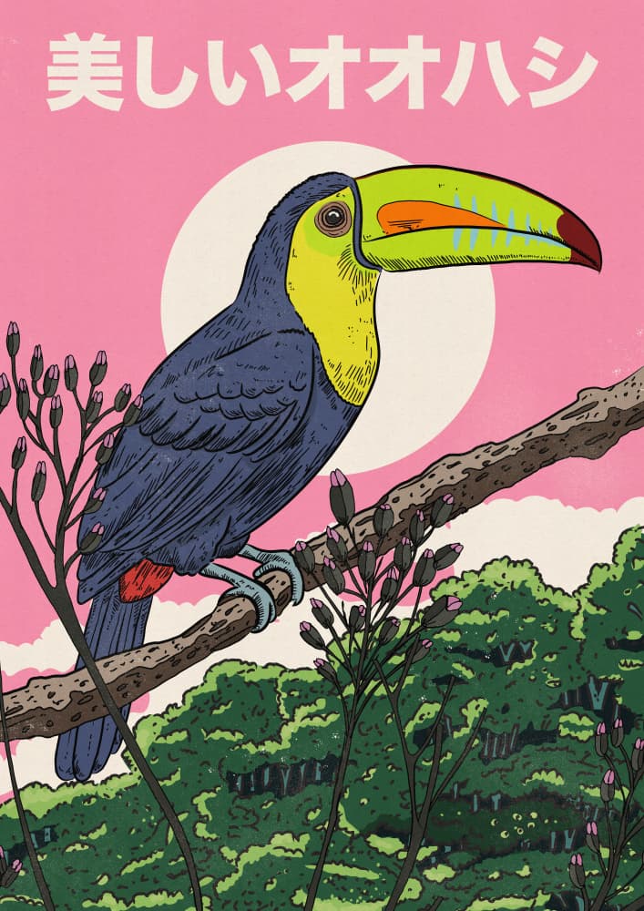 Vibrant Tropical Toucan by Nicholas — canvas wall art