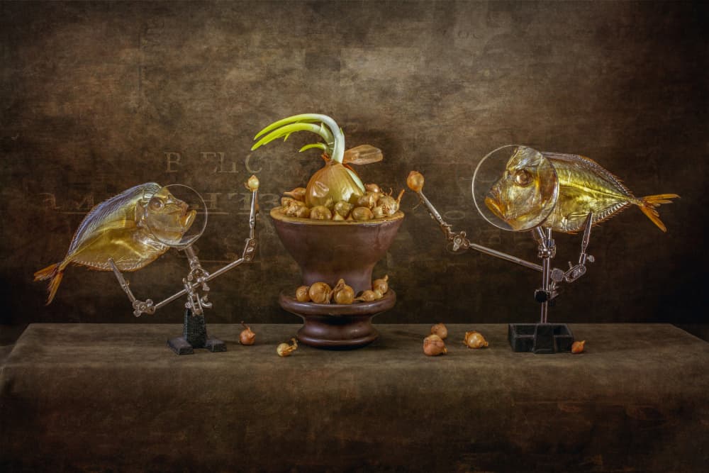 Whimsical Fish And Onions by Brig Barkow — canvas wall art