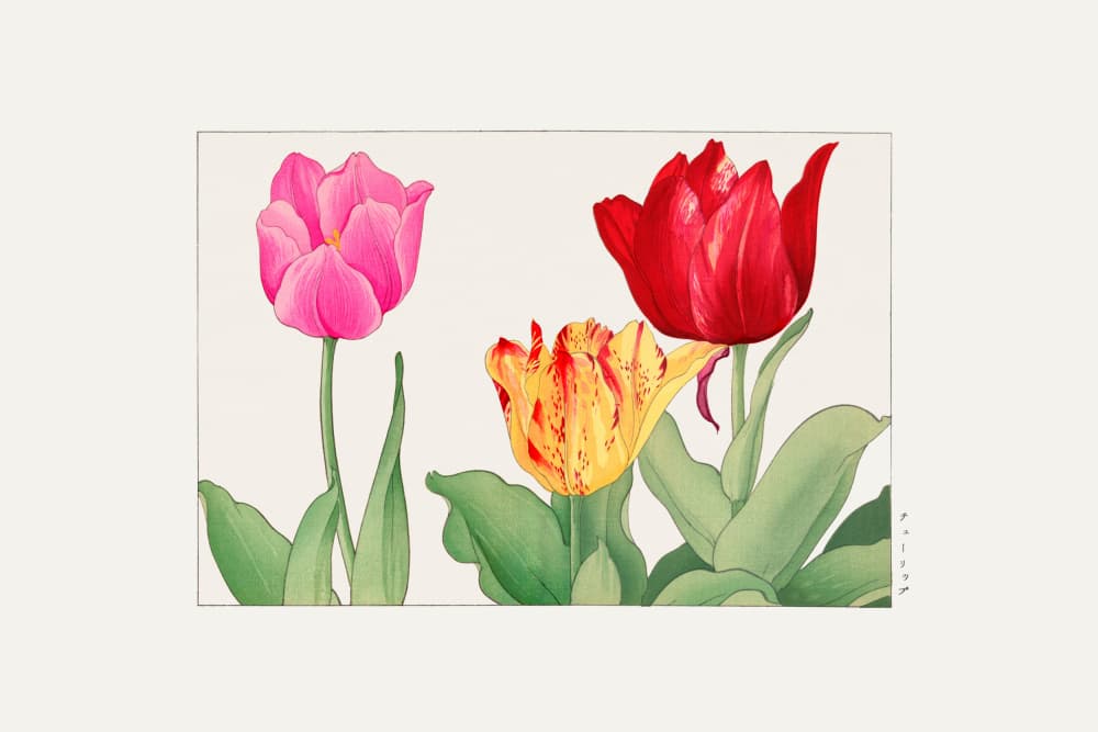 Tulips by Tanigami Konan — canvas wall art