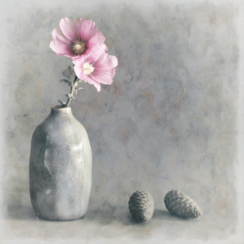 Pink Hollyhock Still Life by Cicek Kiral — canvas wall art