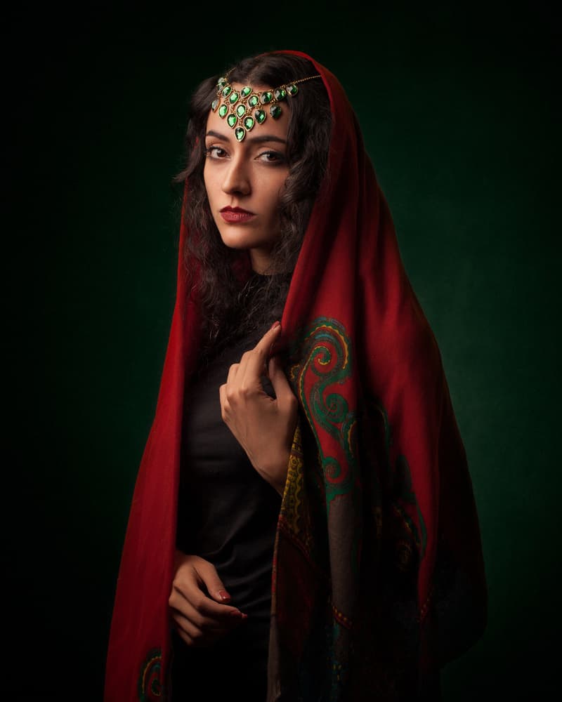 Regal Woman Portrait by Mehdi Mokhtari — canvas wall art
