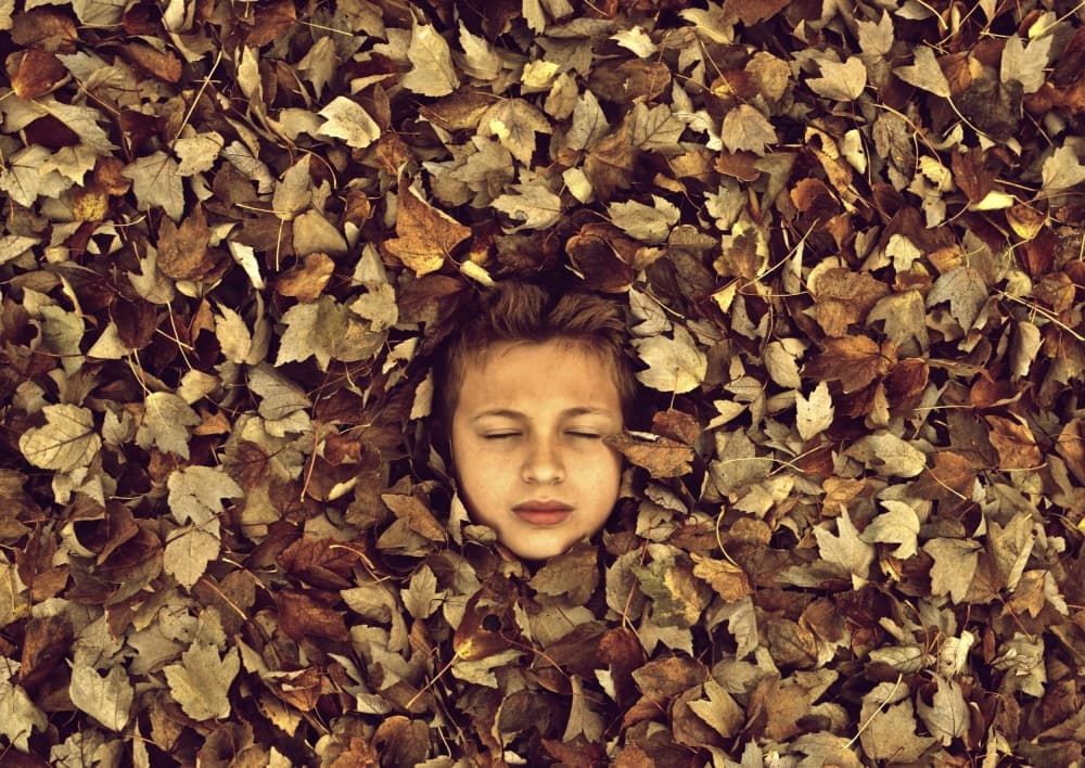 Childhood's Autumn by Mike Melnotte — canvas wall art