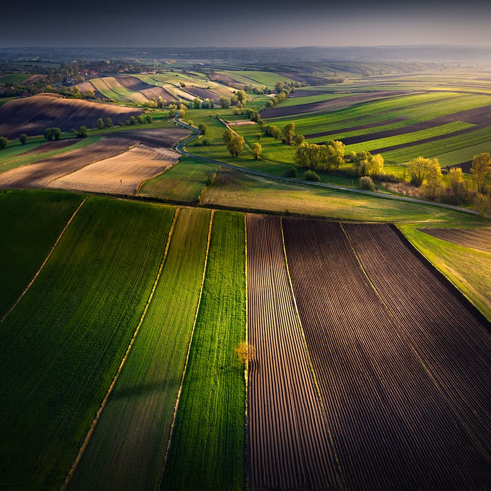 Rolling Fields Landscape by Karol Nienartowicz — canvas wall art