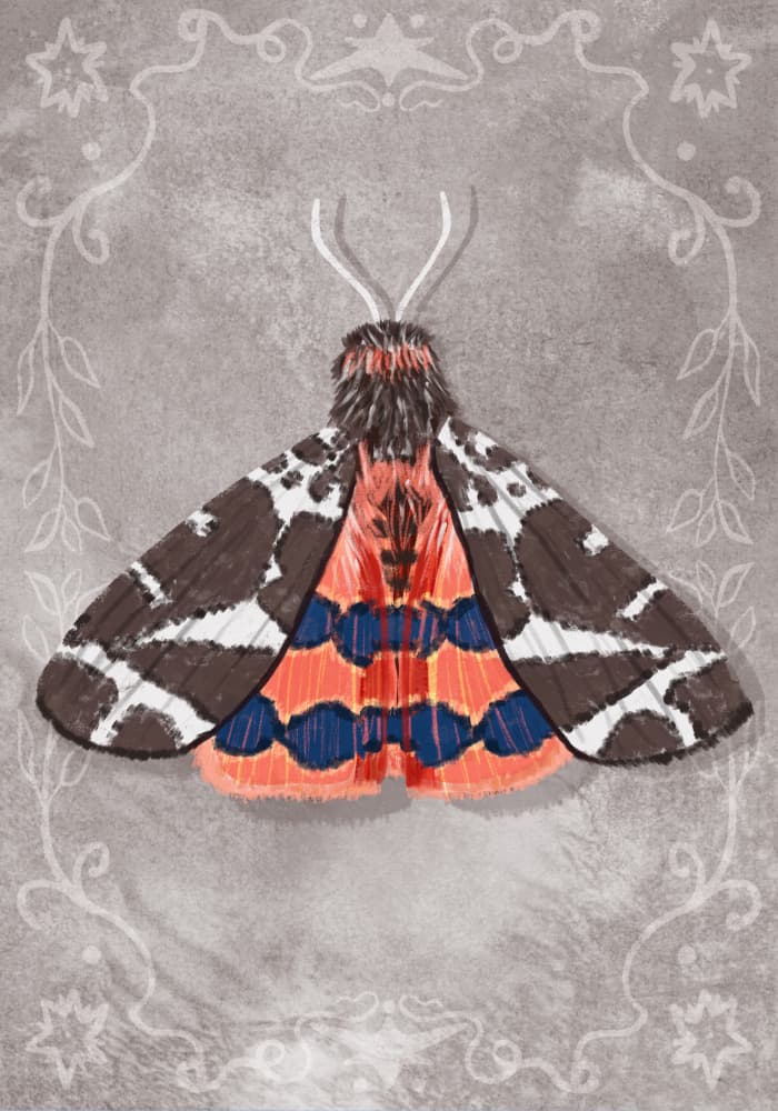 Vibrant Moth Illustration by Aliya Putrus — canvas wall art