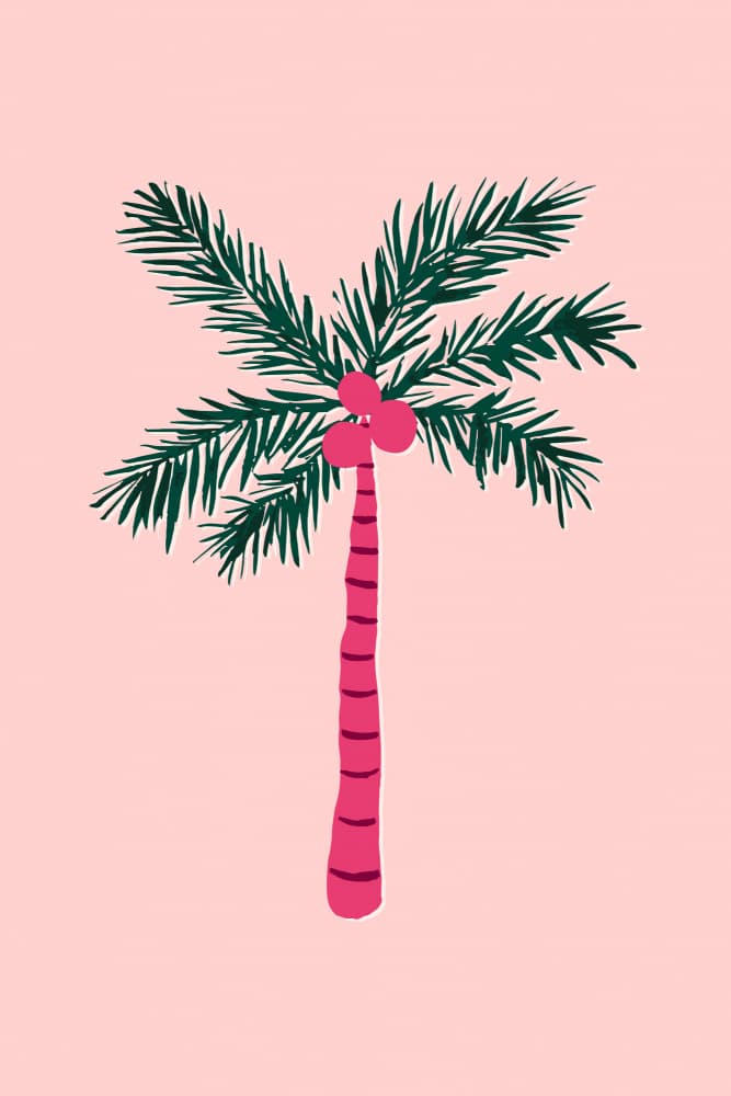 Tropical Pink Palm by Karen Menzenbach — canvas wall art