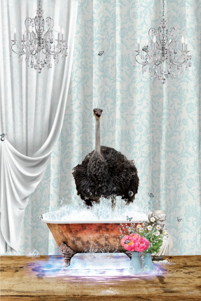Luxurious Ostrich Bath by Sue Skellern — canvas wall art