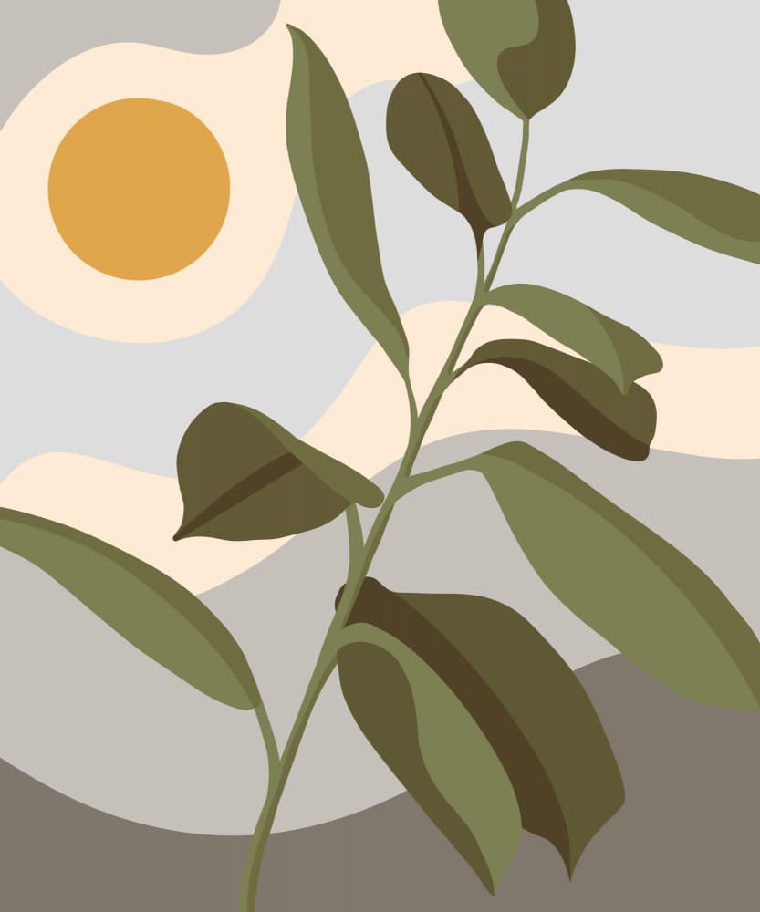 Modern Botanical Light by Kristian Gallagher — canvas wall art