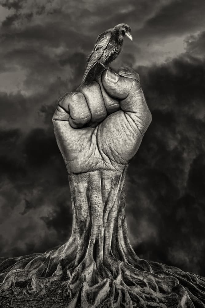 Rooted Strength by Marcel Egger — canvas wall art