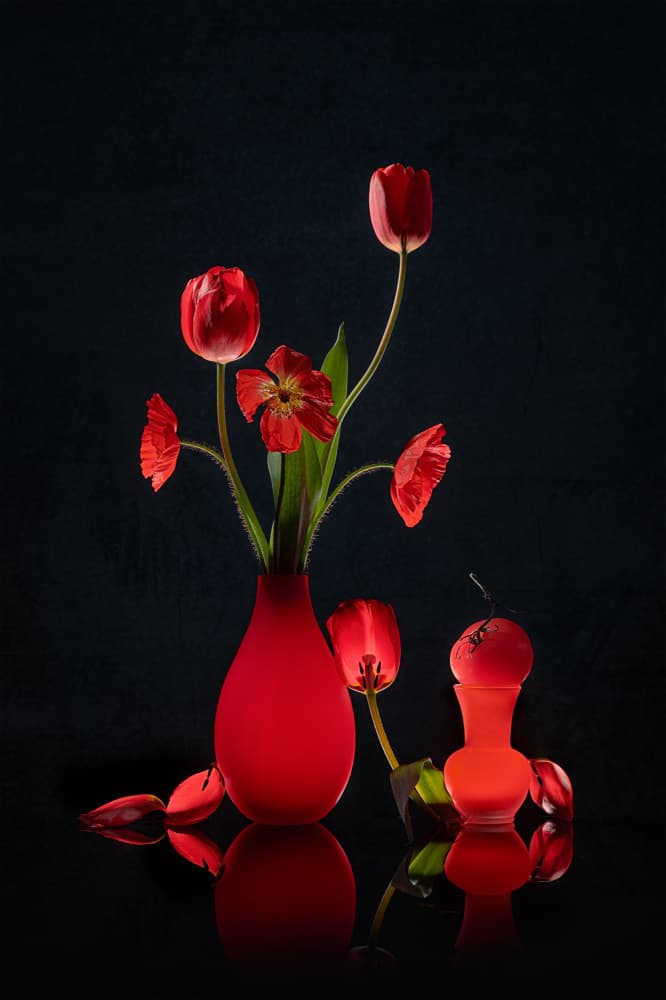 Glowing Red Tulips and Vases by Lydia Jacobs — canvas wall art