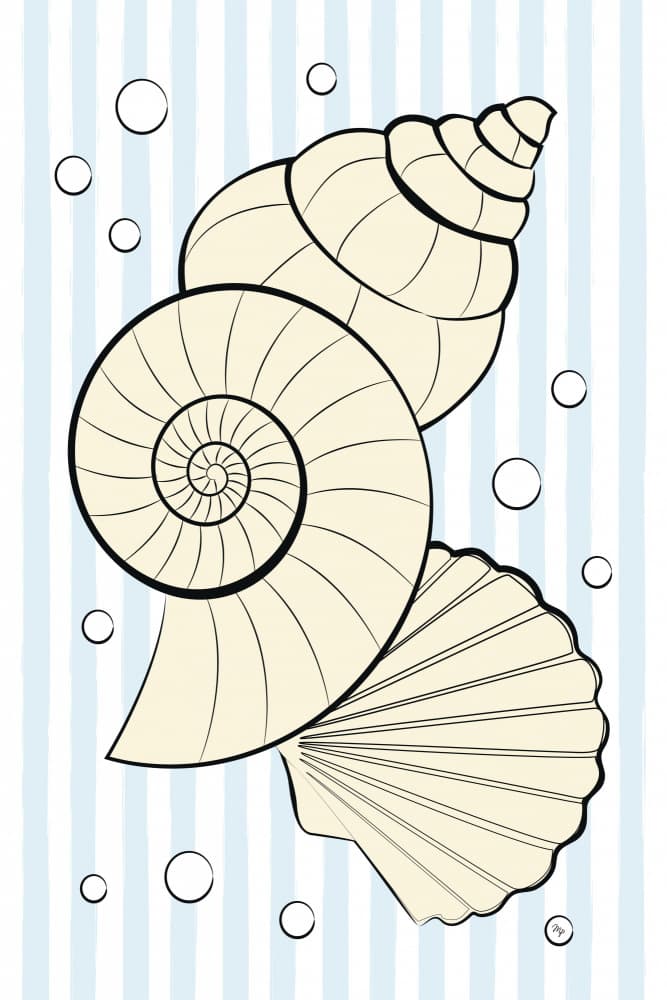 Ocean Shells And Stripes by Martina — canvas wall art