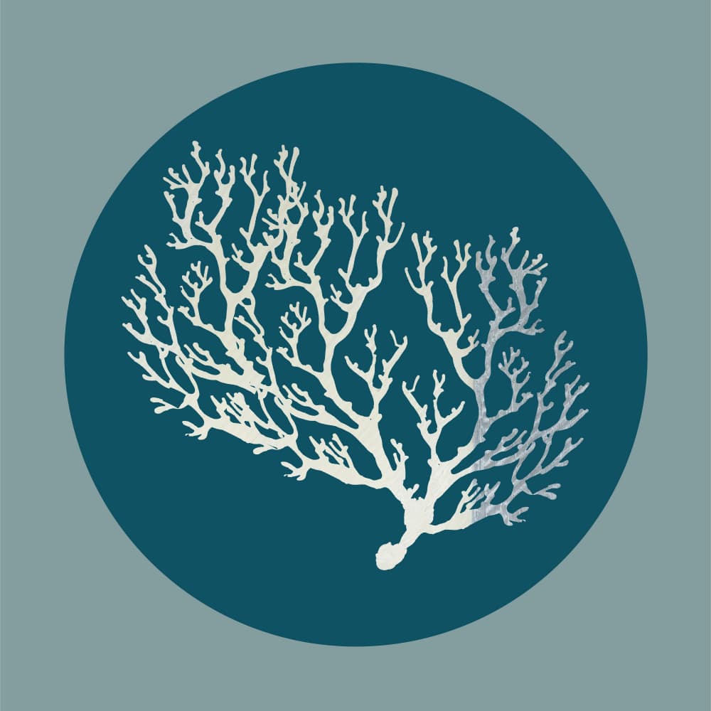 Abstract Ocean Coral by casa cartissi — canvas wall art