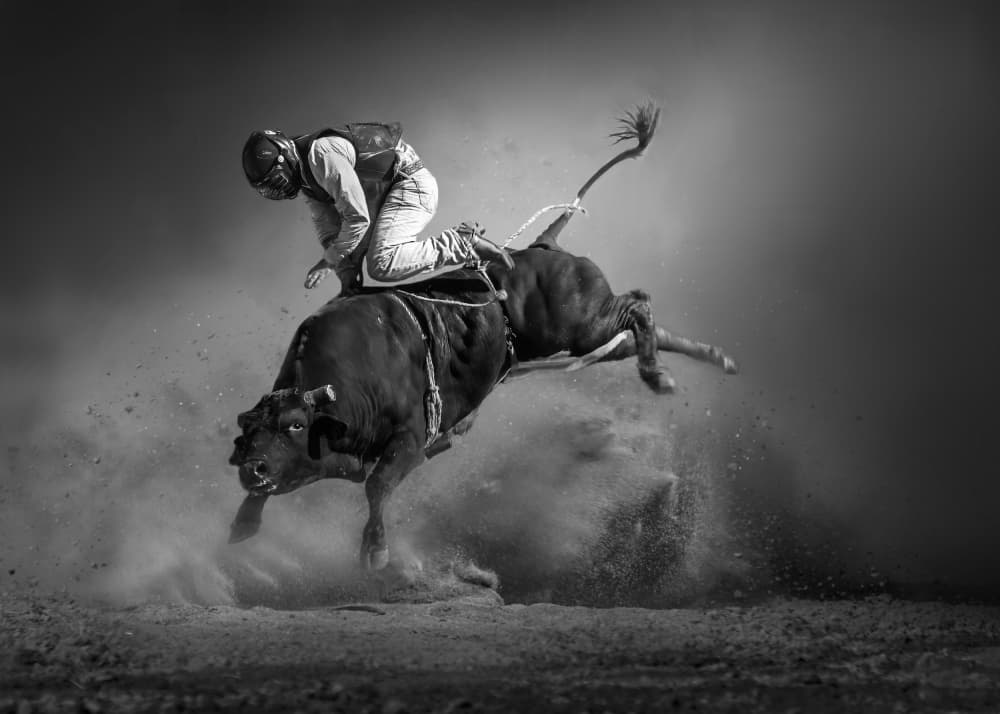 Rodeo Bull Rider by Irene Wu — canvas wall art