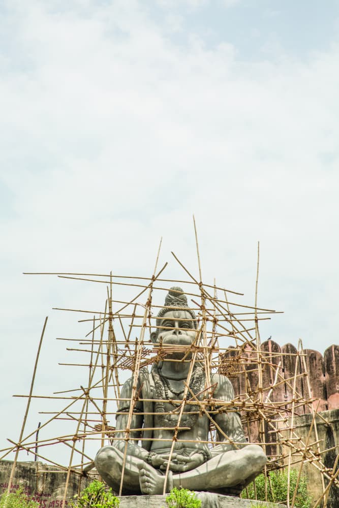 Monkey Among Ladders by Shot by Clint — canvas wall art