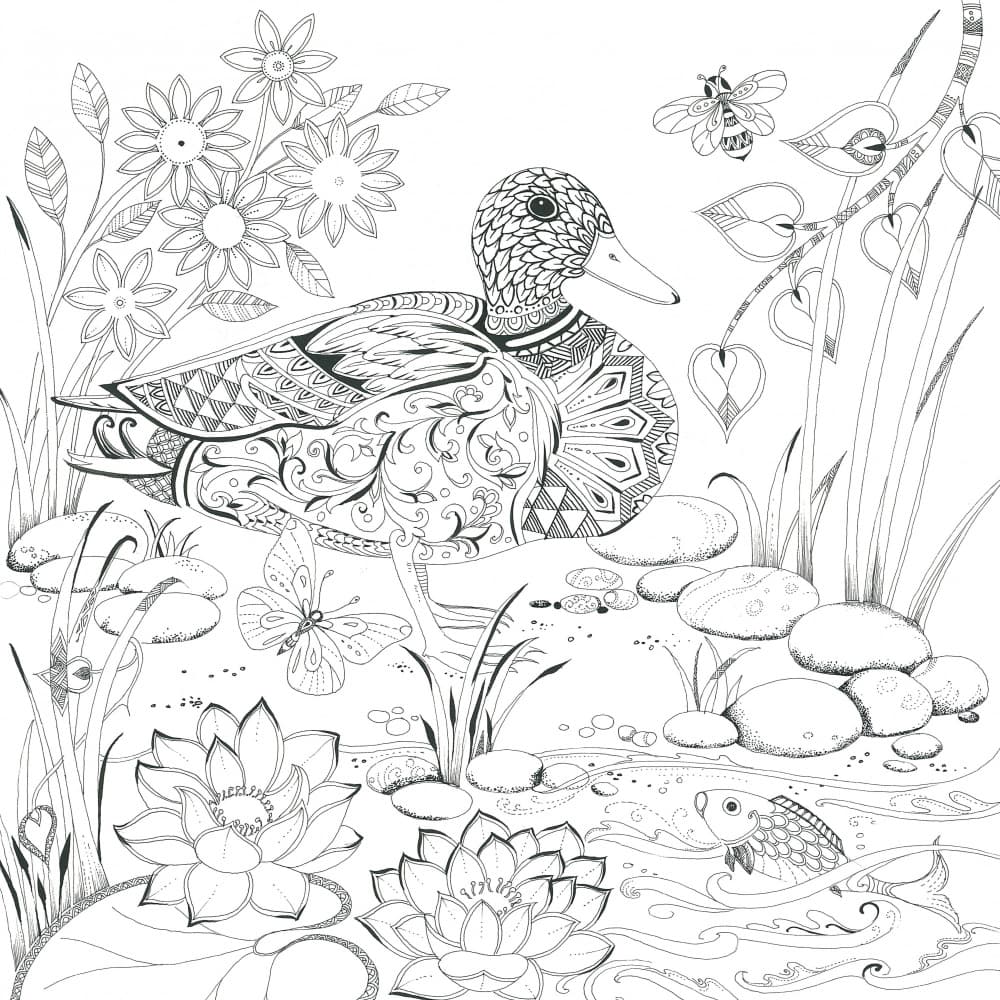Pond Whimsy Scene by Isabelle Brent — canvas wall art