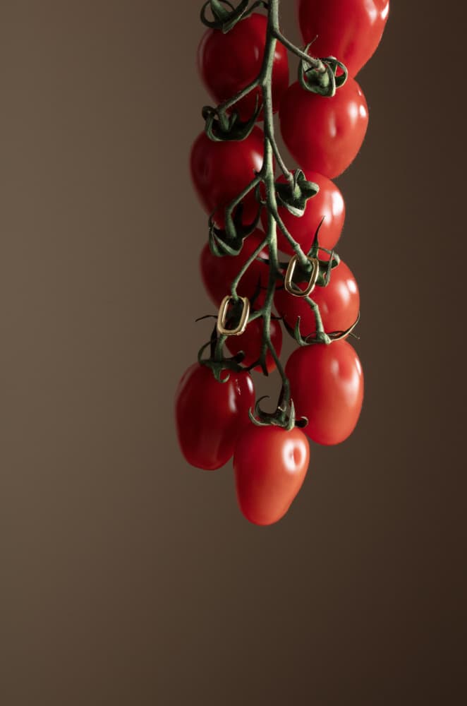 Cherry Tomatoes Gold Rings by Julia Ramiro — canvas wall art