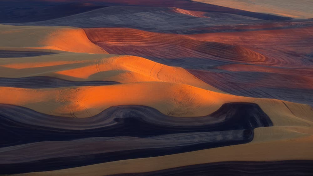 Rolling Golden Fields by James Lu — canvas wall art