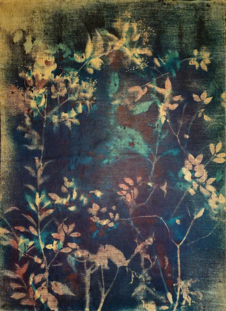 Ethereal Blue Botanicals by Stefano Mazzolini — canvas wall art