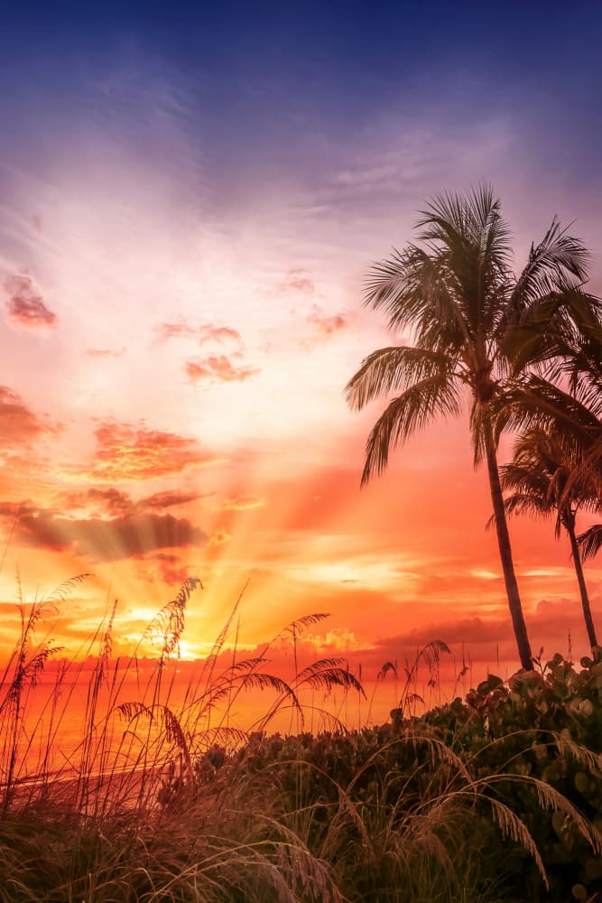 Tropical Beach Sunset by Melanie Viola — canvas wall art