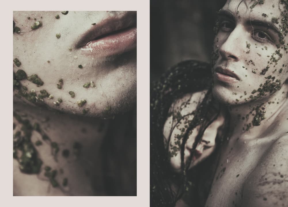 Moss Covered Embrace by Magdalena Russocka — canvas wall art