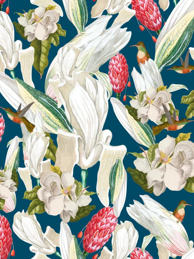 Colibríes Y Magnolias by Elizabeth C — canvas wall art