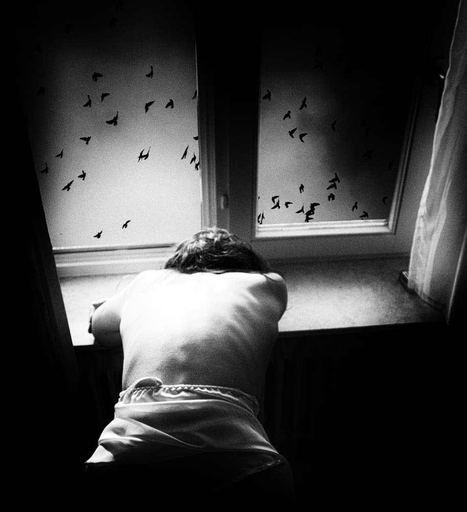 Lonely Child Watching Birds by Bogdan Bouşcă — canvas wall art