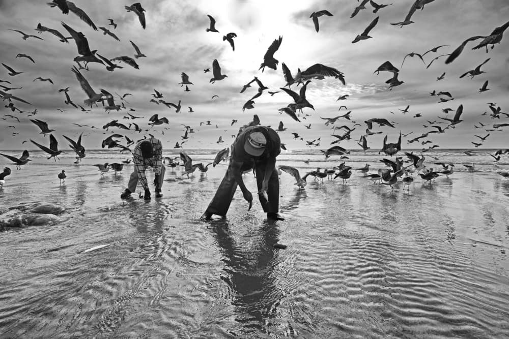 Seagulls Over Beach Men by Josefina Melo — canvas wall art