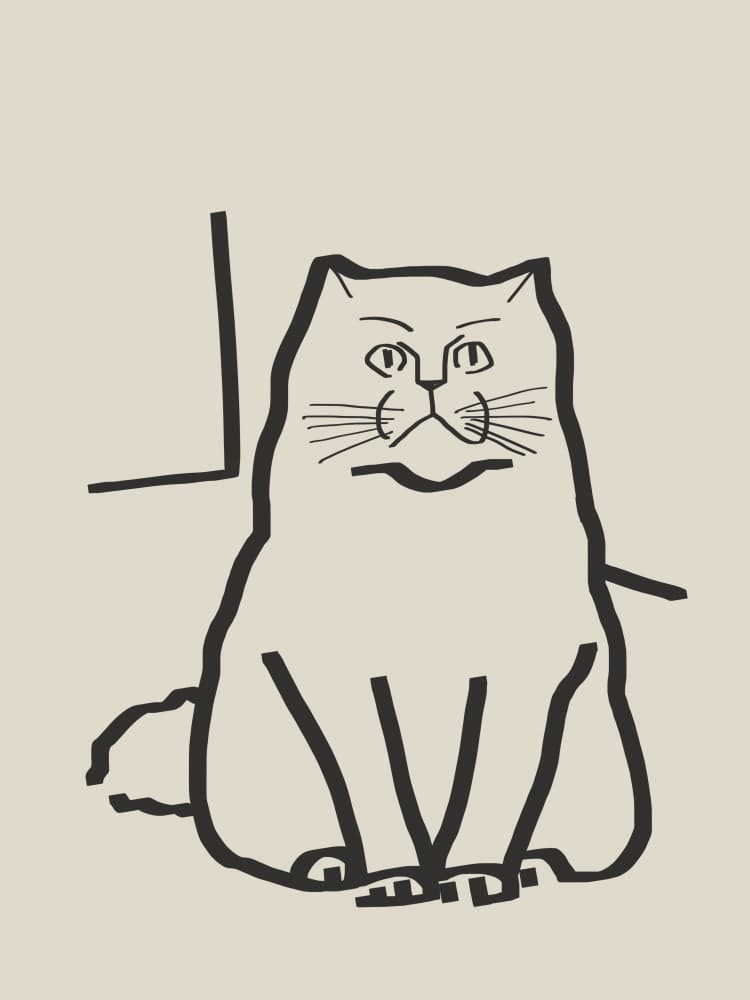 Grumpy Cat Drawing by Little Dean — canvas wall art