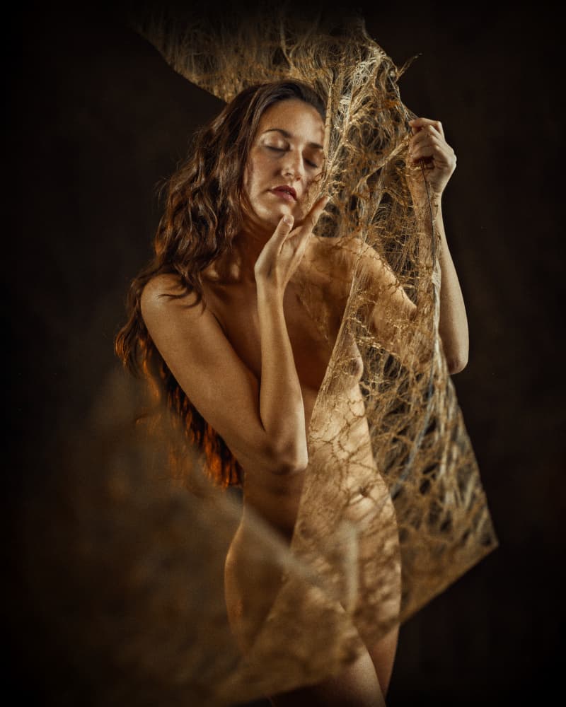 Ethereal Woman Golden Fabric by Franky De Meyer — canvas wall art