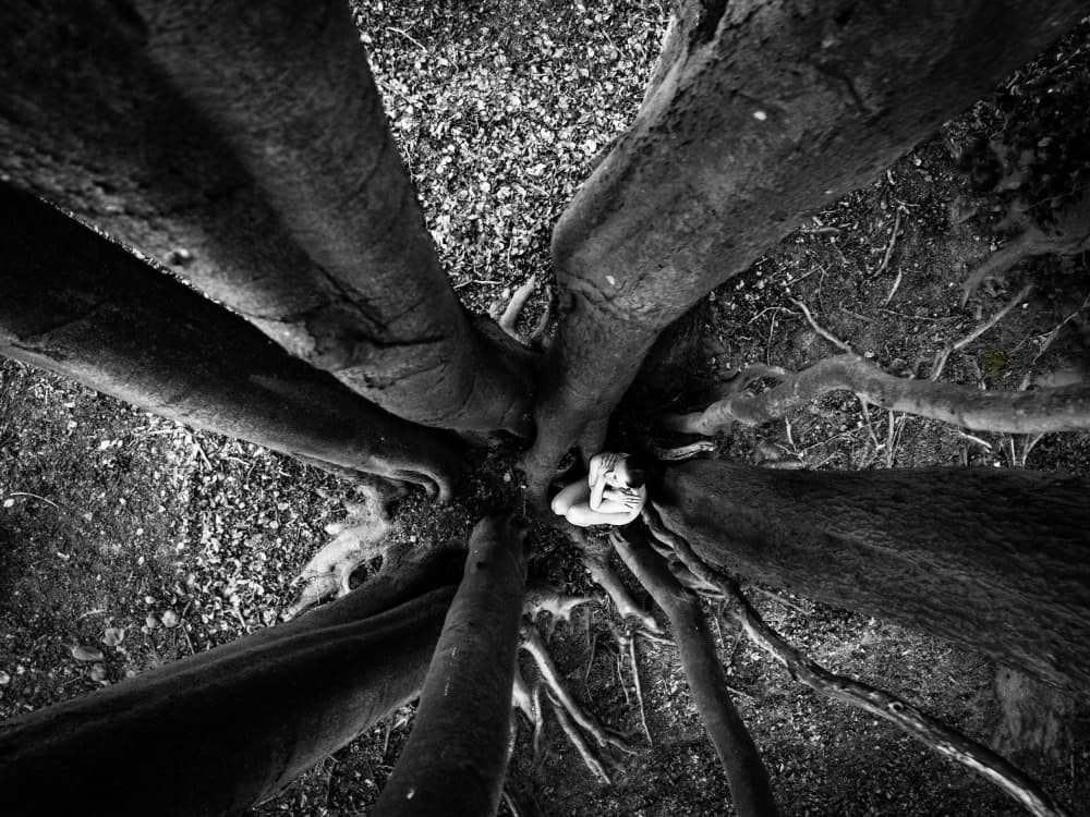 Sheltered Among Roots by Leszek Paradowski — canvas wall art
