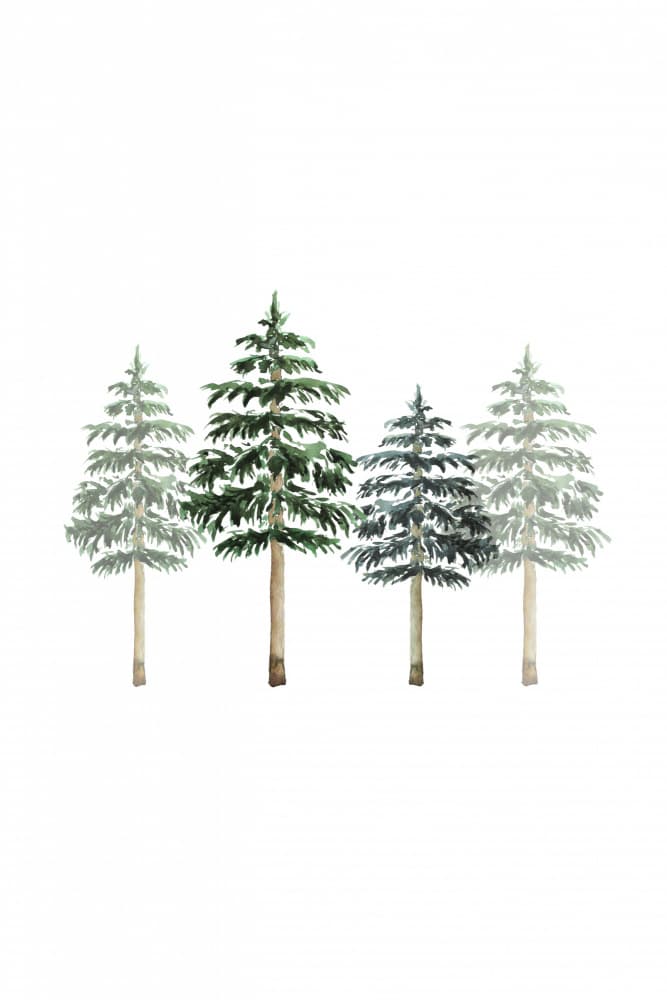 Watercolor Evergreen Forest by Karen Menzenbach — canvas wall art