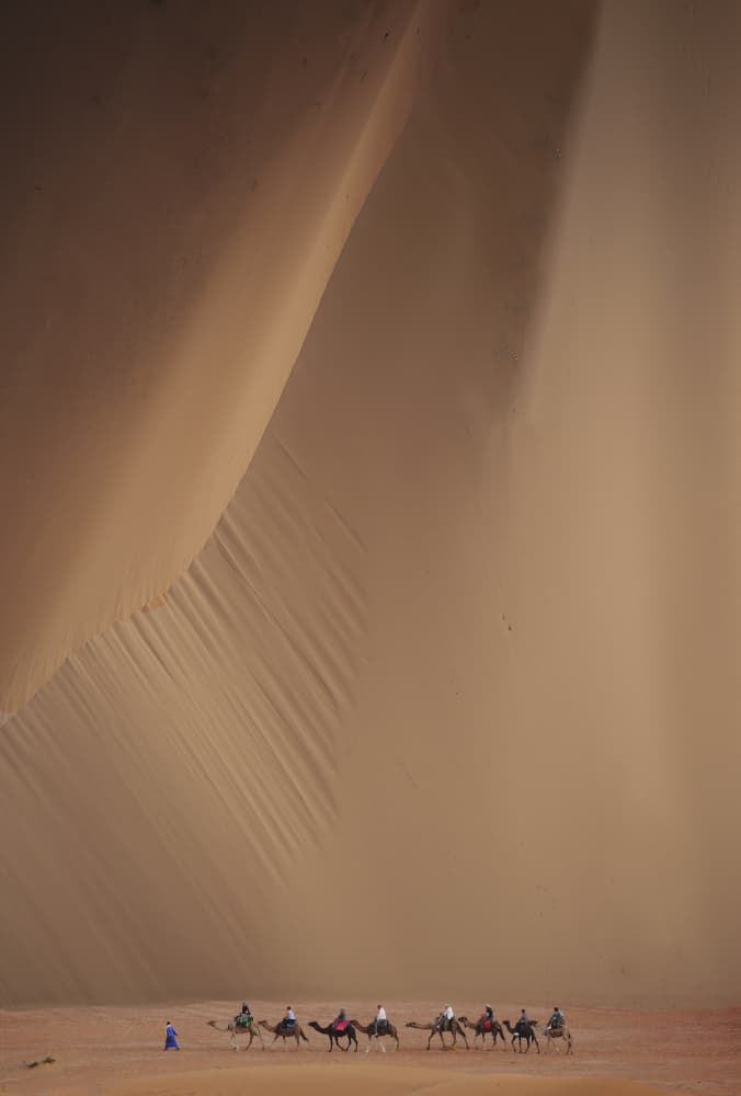 Desert Camel Caravan by Clas Gustafson PRO — canvas wall art
