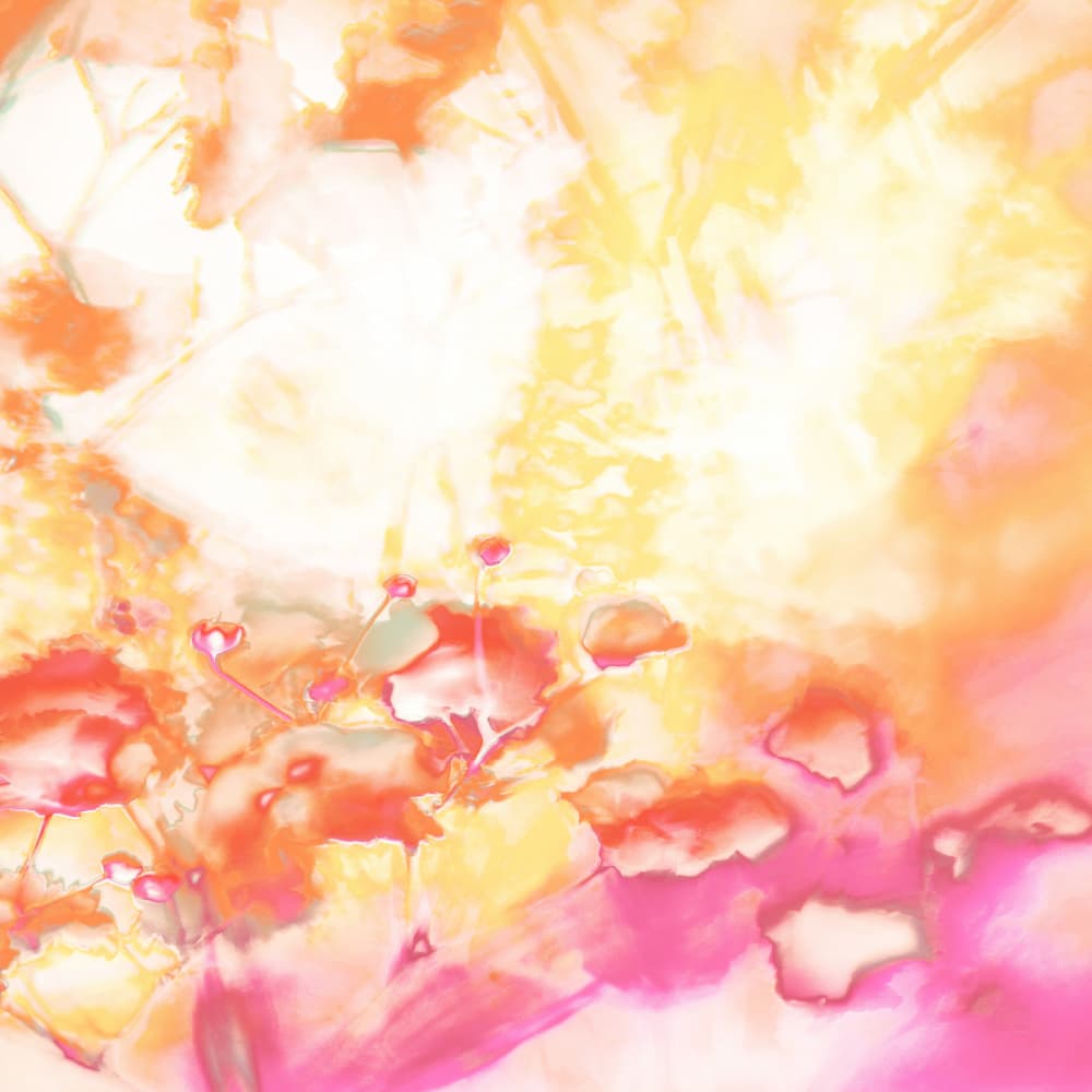Radiant Floral Abstract by Renée Stramel — canvas wall art
